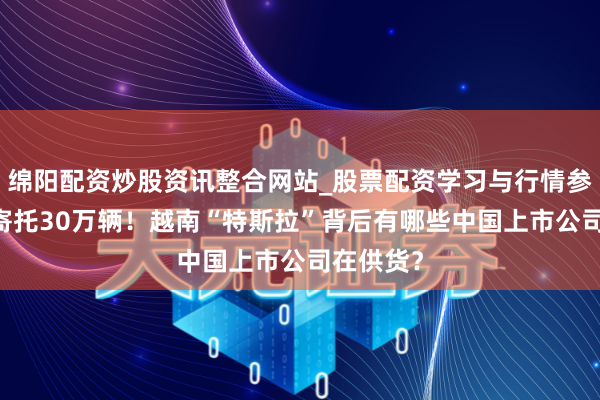 绵阳配资炒股资讯整合网站_股票配资学习与行情参考 见识寄托30万辆！越南“特斯拉”背后有哪些中国上市公司在供货？