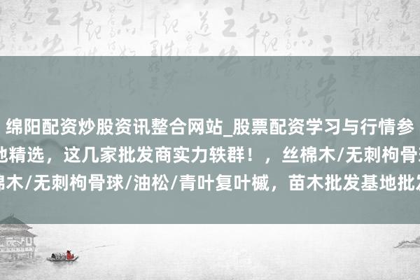绵阳配资炒股资讯整合网站_股票配资学习与行情参考 2025苗木批发基地精选，这几家批发商实力轶群！，丝棉木/无刺枸骨球/油松/青叶复叶槭，苗木批发基地批发商推选分析