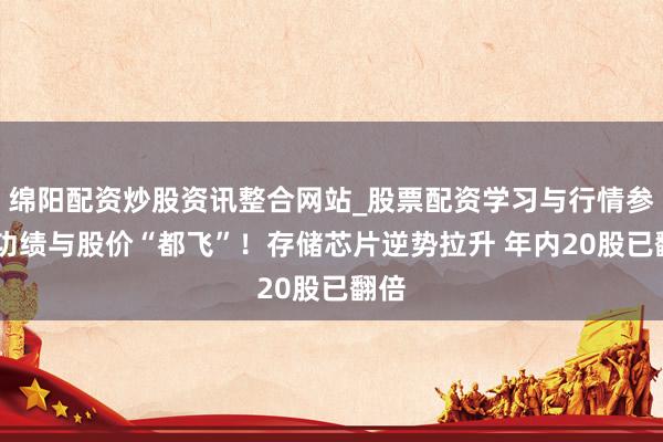 绵阳配资炒股资讯整合网站_股票配资学习与行情参考 功绩与股价“都飞”！存储芯片逆势拉升 年内20股已翻倍